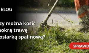 Czy można kosić mokrą trawę kosiarką spalinową? Poradnik