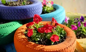 Opony w ogrodzie: 20+ kreatywnych pomysłów DIY i poradnik