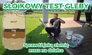 Jak rozpoznać glebę: Proste testy dla Twojego ogrodu