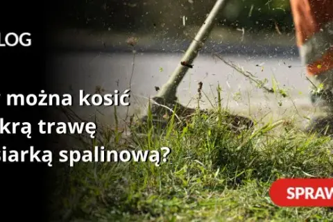 Czy można kosić mokrą trawę kosiarką spalinową? Poradnik