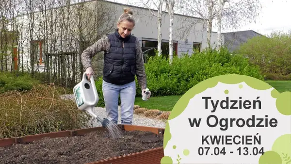 Kwiecień w ogrodzie: Kompleksowy przewodnik po pracach i poradach
