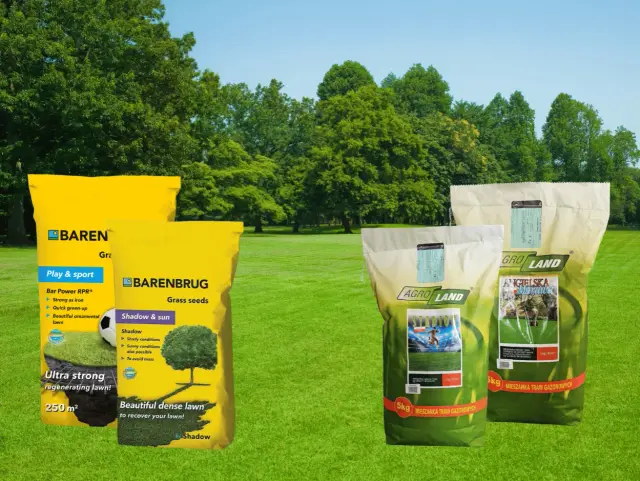 Wybierz idealną trawę na trawnik! Dwie żółte torby Barenbrug i dwie zielone Agro Land oferują mieszanki na różne warunki.